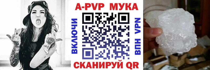 APVP СК  Кингисепп 