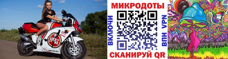 Галлюциногенные грибы мухоморы  blacksprut ссылка  Кингисепп 