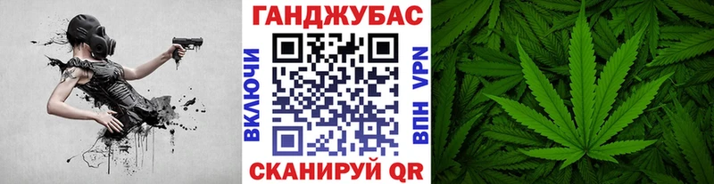 Каннабис план Кингисепп