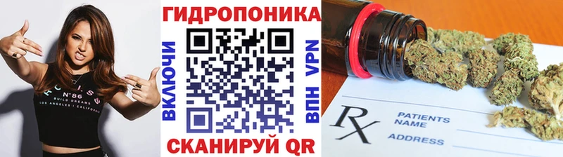 ссылка на мегу как войти  Кингисепп  Конопля тримм  магазин   